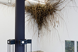 Wykwit - instalacja site-specific