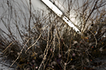 Wykwit - instalacja site-specific