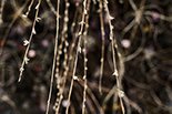 Wykwit - instalacja site-specific