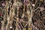 Wykwit - instalacja site-specific