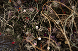 Wykwit - instalacja site-specific