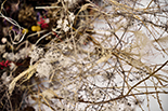 Wykwit - instalacja site-specific