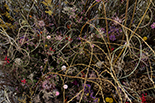 Wykwit - instalacja site-specific
