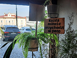 Nice Flowers - Zofia Bystrzycka