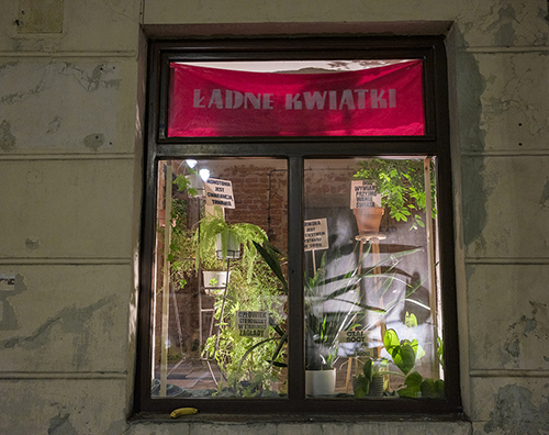 Ładne Kwiatki - instalacja